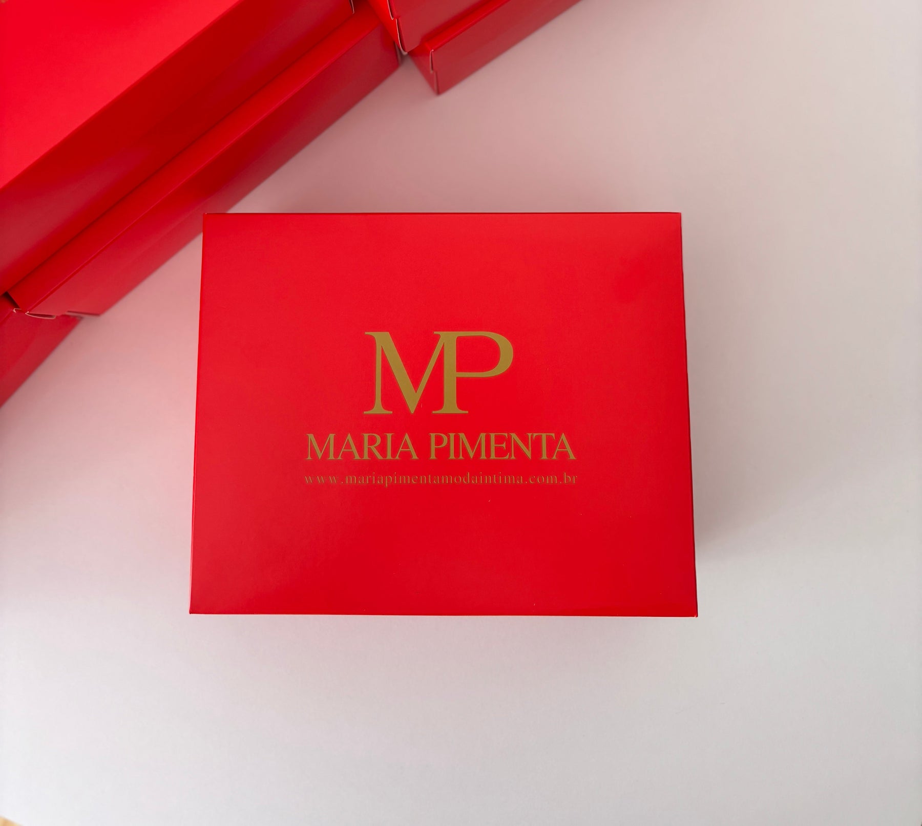 EMBALAGEM PARA PRESENTE